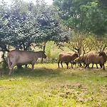 Hébergement de vacances Le Nature Bien-etre Du Tarn Entre Toulouse Et Albi *