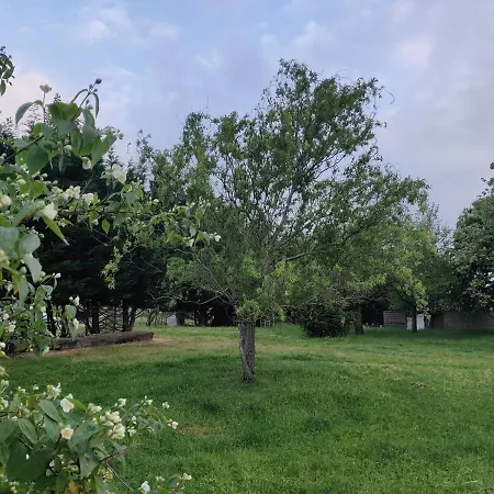 Le Nature Bien-etre Piscine Chauffee Privee Du Tarn Entre Toulouse Et Albi & Les Du Tarn * Peyrole