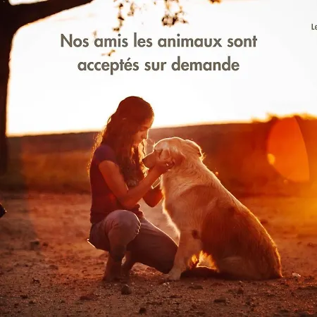 Дом отдыха Le Nature Bien-etre Piscine Chauffee Privee Du Tarn Entre Toulouse Et Albi & Les Du Tarn Peyrole