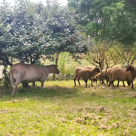 Дом отдыха Le Nature Bien-etre Piscine Chauffee Privee Du Tarn Entre Toulouse Et Albi & Les Du Tarn *