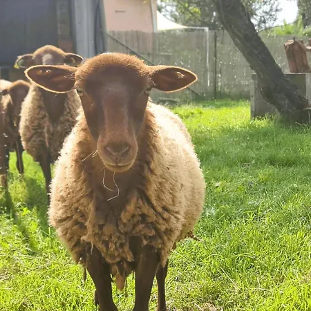 Le Nature Bien-etre Piscine Chauffee Privee Du Tarn Entre Toulouse Et Albi & Les Du Tarn * Peyrole
