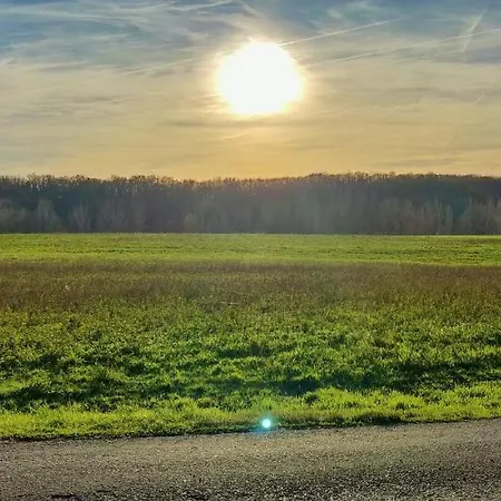 Le Nature Bien-etre Piscine Chauffee Privee Du Tarn Entre Toulouse Et Albi & Les Du Tarn Дом отдыха Peyrole