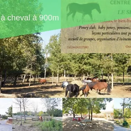 Le Gite Nature Bien-Etre Piscine Chauffee Privee Du Tarn Entre Toulouse Et Albi & Les Cottages Du Tarn Peyrole