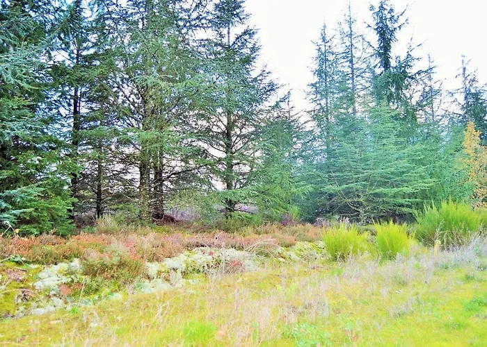 度假居 Le Nature Bien-etre Piscine Chauffee Privee Du Tarn Entre Toulouse Et Albi & Les Du Tarn *