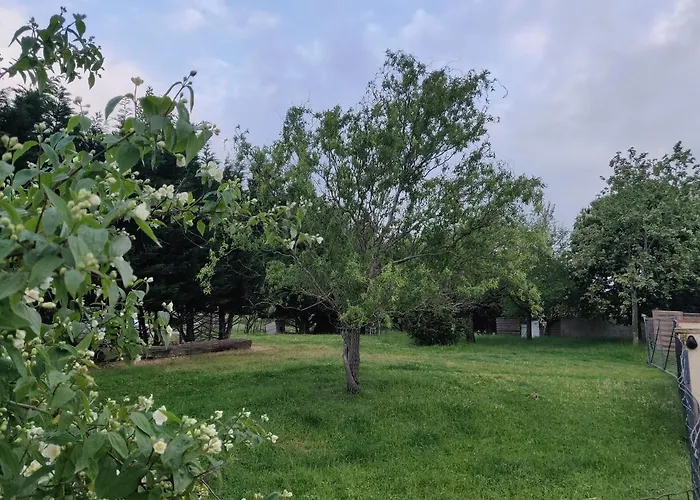 Le Nature Bien-etre Du Tarn Entre Toulouse Et Albi * Peyrole