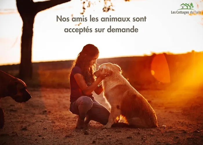 Tatil Evi Le Nature Bien-etre Piscine Chauffee Privee Du Tarn Entre Toulouse Et Albi & Les Du Tarn Peyrole