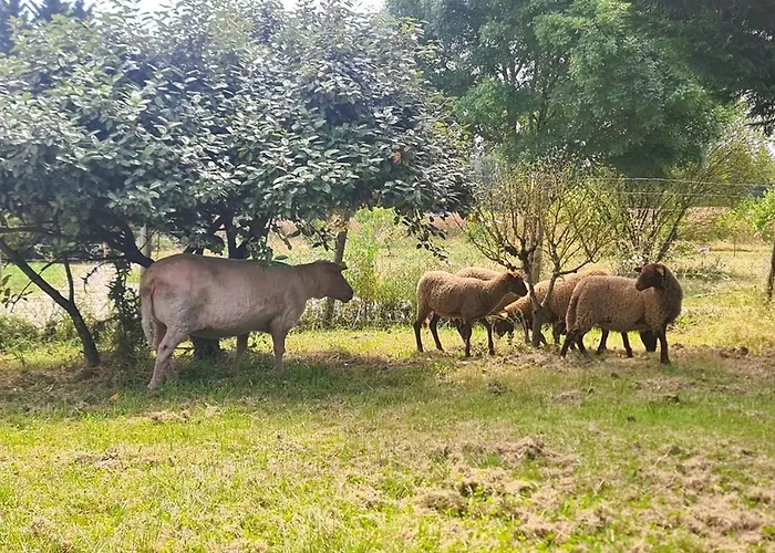 Hébergement de vacances Le Nature Bien-etre Du Tarn Entre Toulouse Et Albi *