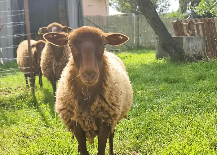 Le Nature Bien-etre Piscine Chauffee Privee Du Tarn Entre Toulouse Et Albi & Les Du Tarn * Peyrole
