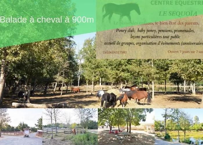 Le Nature Bien-etre Du Tarn Entre Toulouse Et Albi Peyrole